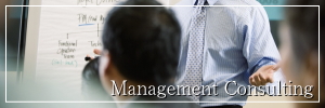 Image of Management Consulting